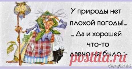 БОЛЬШИЕ Открытки на стену !