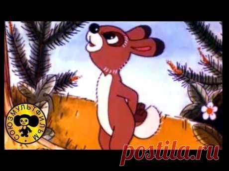 Мультфильм: Заяц Коська и родничок