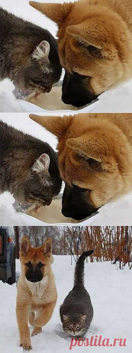 Новости