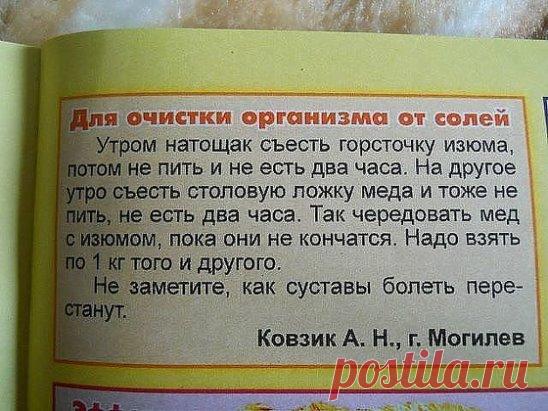 Целебный отвар для чистки кишечника! Все болезни уйдут прочь! 
Этот способ особенно эффективен при очищении организма от солевых отложений, и очень полезен для суставов, костей и даже мышц. Для приготовления очищающего «зелья» необходимо взять 
Ингредиенты: 5 г измельченного лаврового листа залить 300 г кипятка и кипятить 10 минут на слабом огне. Настаивать в течение 4 часов, укутав в термосе. Пользоваться отваром нужно три дня подряд. Приготовленные 300 г нужно пить в течение дня маленькими г