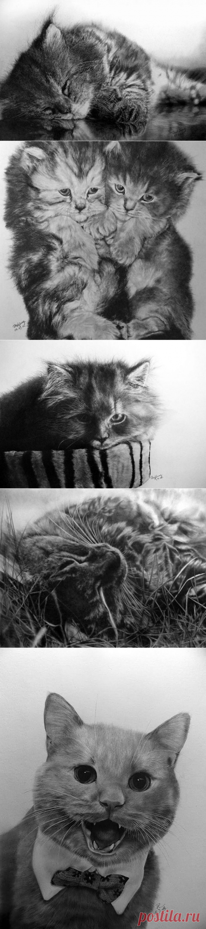 Мастер карандашного наброска – Пол Ланг