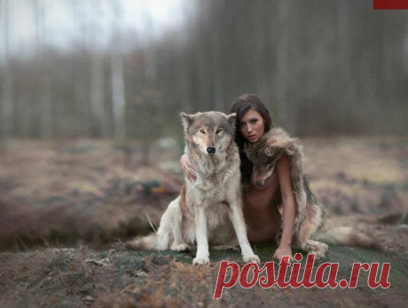 ნაცნობები