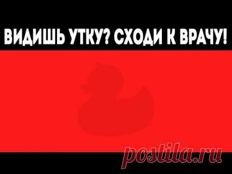 8 ФОТО, КОТОРЫЕ РАССКАЖУТ ВАМ, КТО ВЫ ЕСТЬ