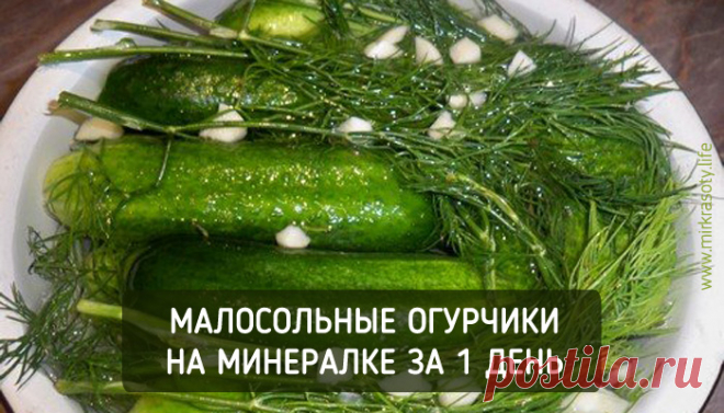 Малосольные огурчики на минералке за 1 сутки! - Мир красоты