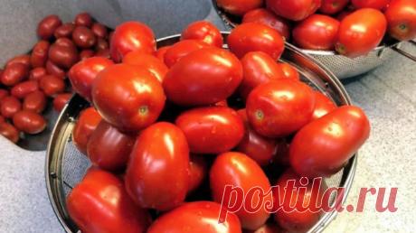 Шикарная заготовка из помидор - альтернатива томатной пасте | Пикабу