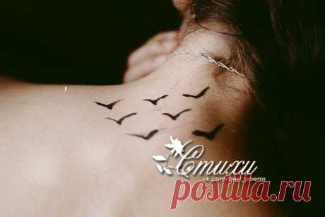 такая нежность...Господи, прости! - ее, наверно, не взвалить на плечи.
она во мне взрывается под вечер и душу разрывает до кости...
кричит: &quot;пусти!&quot; - и мне ломает руки, а я ее пытаюсь удержать.
она во мне - как лезвие ножа, когда вокруг сгущаются разлуки...

такая нежность...
погибать пора.
мне от нее - совсем сдавило горло.
и сердце, словно скрипка, плачет соло, а я ищу под плач его слова...

такая нежность...