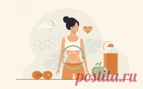 Метаболизм: обмен веществ и его основные типы | PortalBio