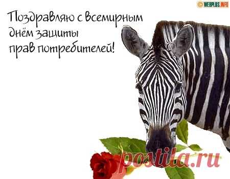 Сегодня поздравляю
Планеты нашей жителей
С всемирным днем защиты
Всех прав потребителей.