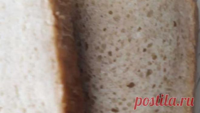 В российской школе дети отравились после обеда в столовой. Родитель ученицы одной из школ Альметьевска (Республика Татарстан) пожаловался на отравление детей в школьной столовой. Свою жалобу на питание в образовательном учреждении мужчина разместил на республиканском портале ...