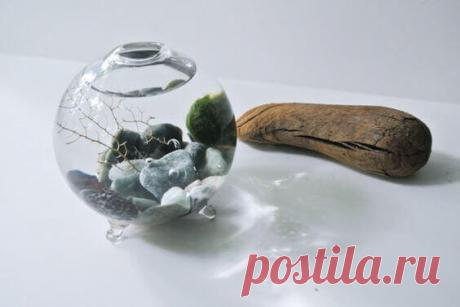 Миниатюрный аквариум как элемент декора ~ Planetalsad