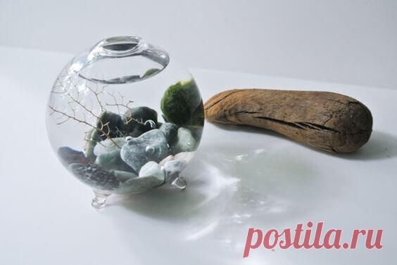 Миниатюрный аквариум как элемент декора ~ Planetalsad