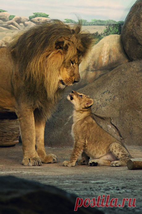 The Perfect World. Welcome \O/ - Beautiful !!! \O/