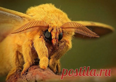 25 фотографий, которые заставят вас удивиться
