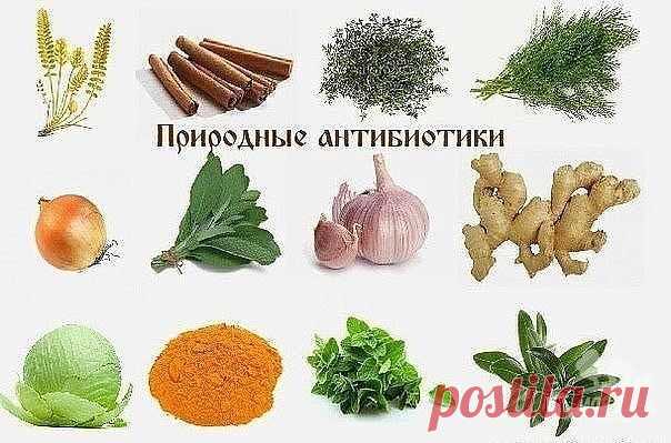 (1) Одноклассники