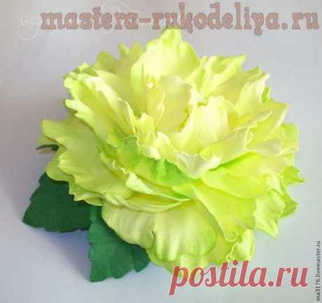 Мастера рукоделия - рукоделие для дома. Бесплатные мастер-классы, фото и видео уроки - Мастер-класс по цветам из фоамирана: Пион &quot;Лайм&quot;