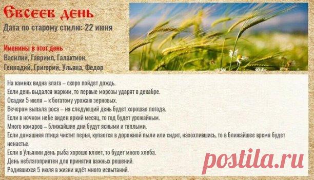 НАРОДНЫЕ ПРИМЕТЫ НА 5 ИЮЛЯ