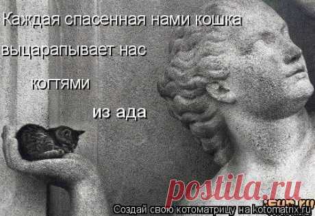 Без кошек жить нельзя на свете, нет - Татьяна, 29 мая 2020