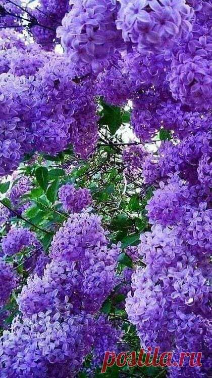 Группы | Facebook