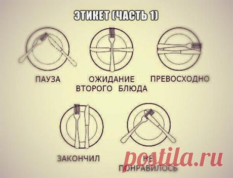 Всё самое интересное!: 100 правил этикета, которые должен знать каждый образованный человек
