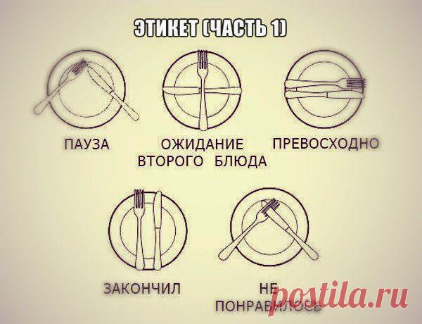 Всё самое интересное!: 100 правил этикета, которые должен знать каждый образованный человек
