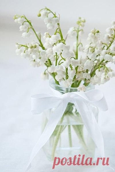 (1) Мой Мир@Mail.Ru