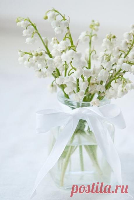 (1) Мой Мир@Mail.Ru