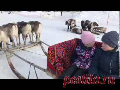 Салехард день оленевода - YouTube
Салехард день оленевода , сегодня 30 .03. 2019
День Оленевода» - один из самых ярких и зрелищных праздников на Ямале.
Праздник этот уходит корнями в седую древность. У одних северных народов он назывался Днем Солнца, у других – Днем Оленя и чаще всего приходился на время весеннего равноденствия, когда заканчивается долгая полярная ночь.