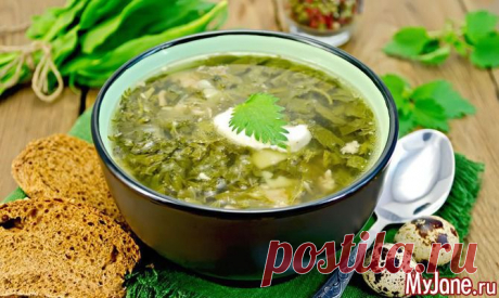 На зелёном на лужку... - зелень, щавель, щи, крапива, супы, рецепты,