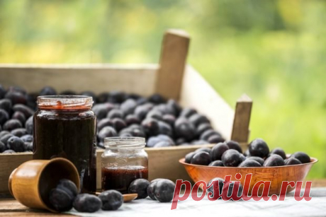 Джем из чернослива — Домашние заботы