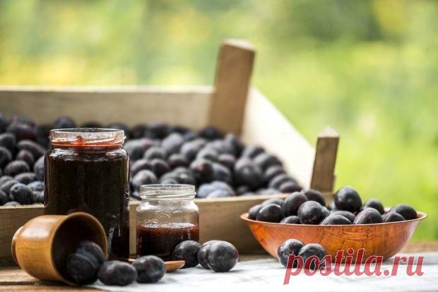 Джем из чернослива — Домашние заботы