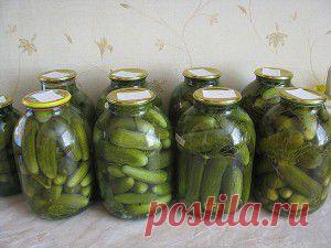 Огурцы для ленивых, а так же для тех, у кого они «взрываются» | Сайт интересных рецептов