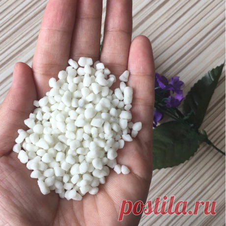 Нашла чем буду подкармливать свою рассаду после высадки в ОГ. Рассказываю о недорогом и качественном удобрении | Садовый рай 🌱 | Яндекс Дзен