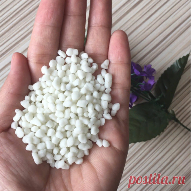 Нашла чем буду подкармливать свою рассаду после высадки в ОГ. Рассказываю о недорогом и качественном удобрении | Садовый рай 🌱 | Яндекс Дзен