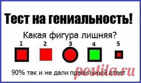 Тест на гениальность - ЯПлакалъ