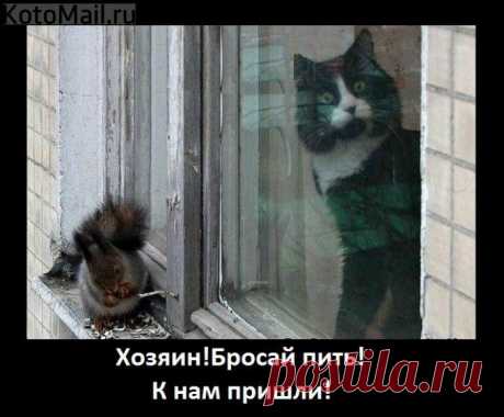 К нам пришли