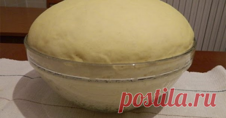 ОБАЛДЕННОЕ ТЕСТО ДЛЯ ПИРОГОВ, ПИРОЖКОВ И ПИЦЦЫ - Готовить Вкусно (ツ)