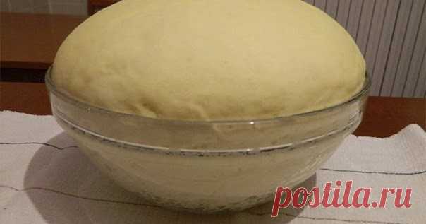 ОБАЛДЕННОЕ ТЕСТО ДЛЯ ПИРОГОВ, ПИРОЖКОВ И ПИЦЦЫ - Готовить Вкусно (ツ)