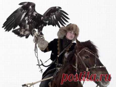 Древняя традиция охоты с ловчими птицабя изжить / Богатая добыча