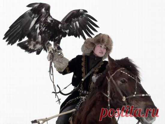 Древняя традиция охоты с ловчими птицабя изжить / Богатая добыча