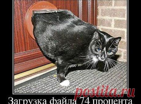 (5) Одноклассники