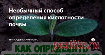 Необычный способ определения кислотности почвы Кислая почва малопригодна для садов и огородов. Для овощных и плодово-ягодных культур необходима почва нейтральная либо слабокислая.
Для того, чтобы самостоятельно определить кислотность земли необходимо взять 3 - 5 листков черной смородины ( либо черемухи ) положить в стаканчик и наполнить горячей водой. В охладившийся состав положить комок почвы с участка. Согласно поменявшему расцветку раствора