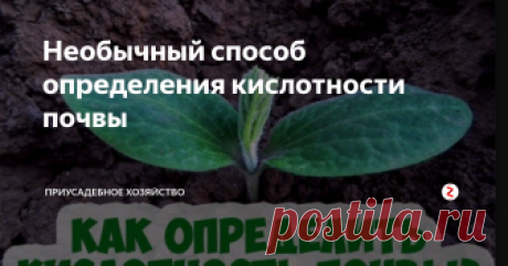 Необычный способ определения кислотности почвы Кислая почва малопригодна для садов и огородов. Для овощных и плодово-ягодных культур необходима почва нейтральная либо слабокислая.
Для того, чтобы самостоятельно определить кислотность земли необходимо взять 3 - 5 листков черной смородины ( либо черемухи ) положить в стаканчик и наполнить горячей водой. В охладившийся состав положить комок почвы с участка. Согласно поменявшему расцветку раствора