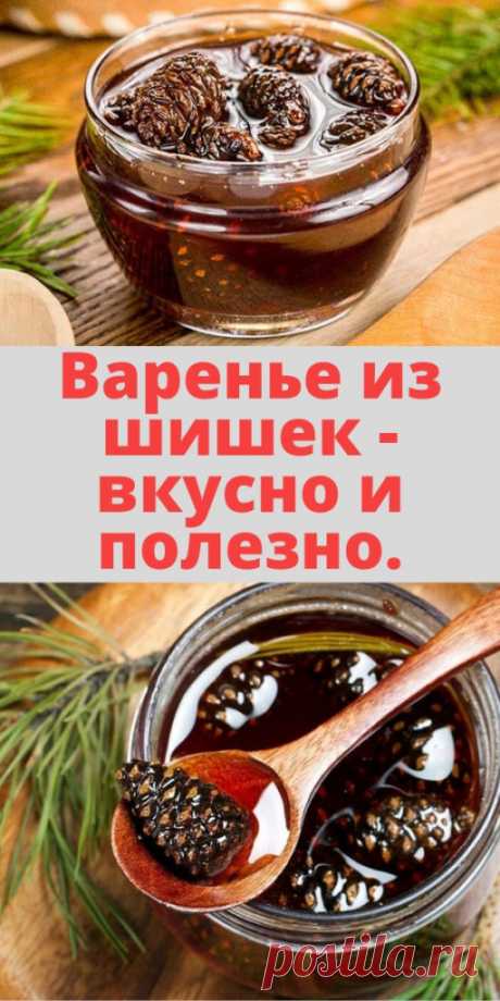 Варенье из шишек - вкусно и полезно. - My izumrud