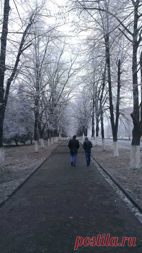 Аллея вдоль проспекта Коста