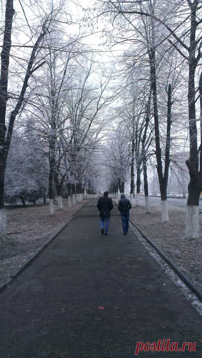 Аллея вдоль проспекта Коста