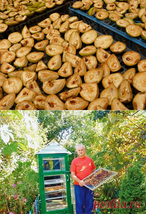 Без заголовка