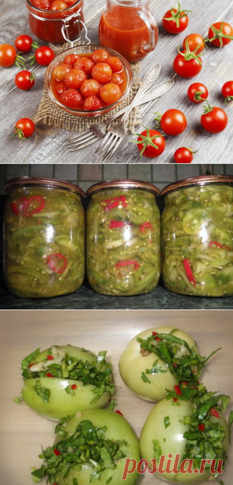 Соленые, малосольные, квашеные и консервированные помидоры на зиму: фото, рецепты приготовления домашних заготовок