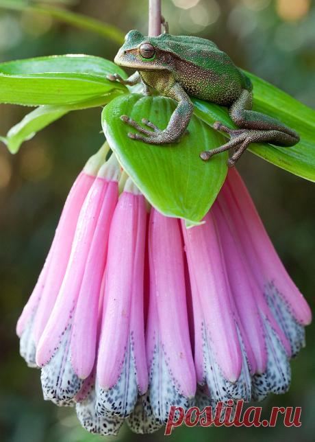 8055506160_4c87975ea6_b.jpg (731×1024)