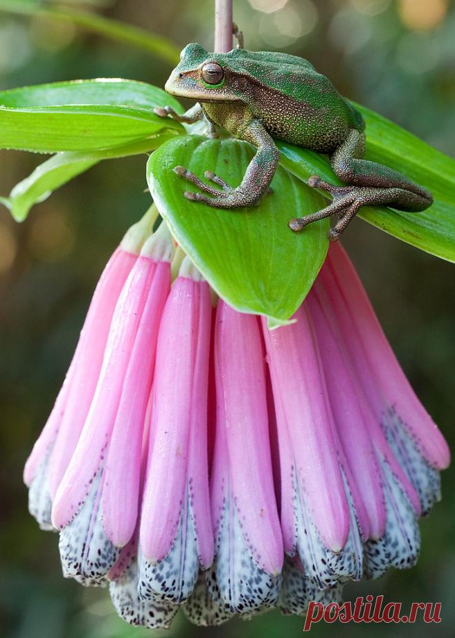 8055506160_4c87975ea6_b.jpg (731×1024)