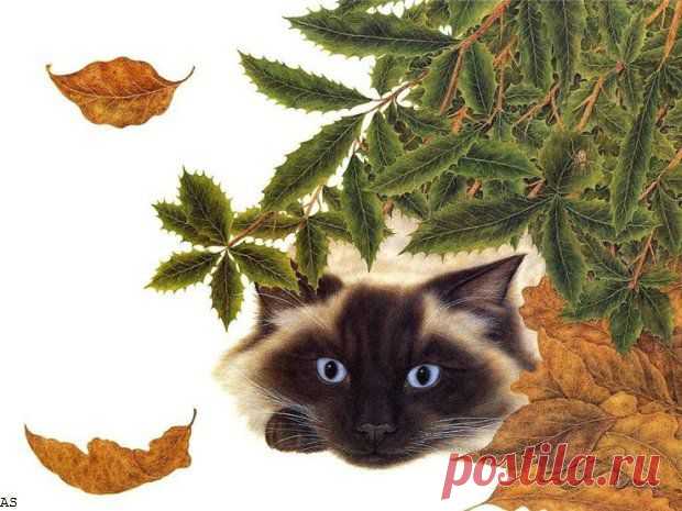 Anne Mortimer.